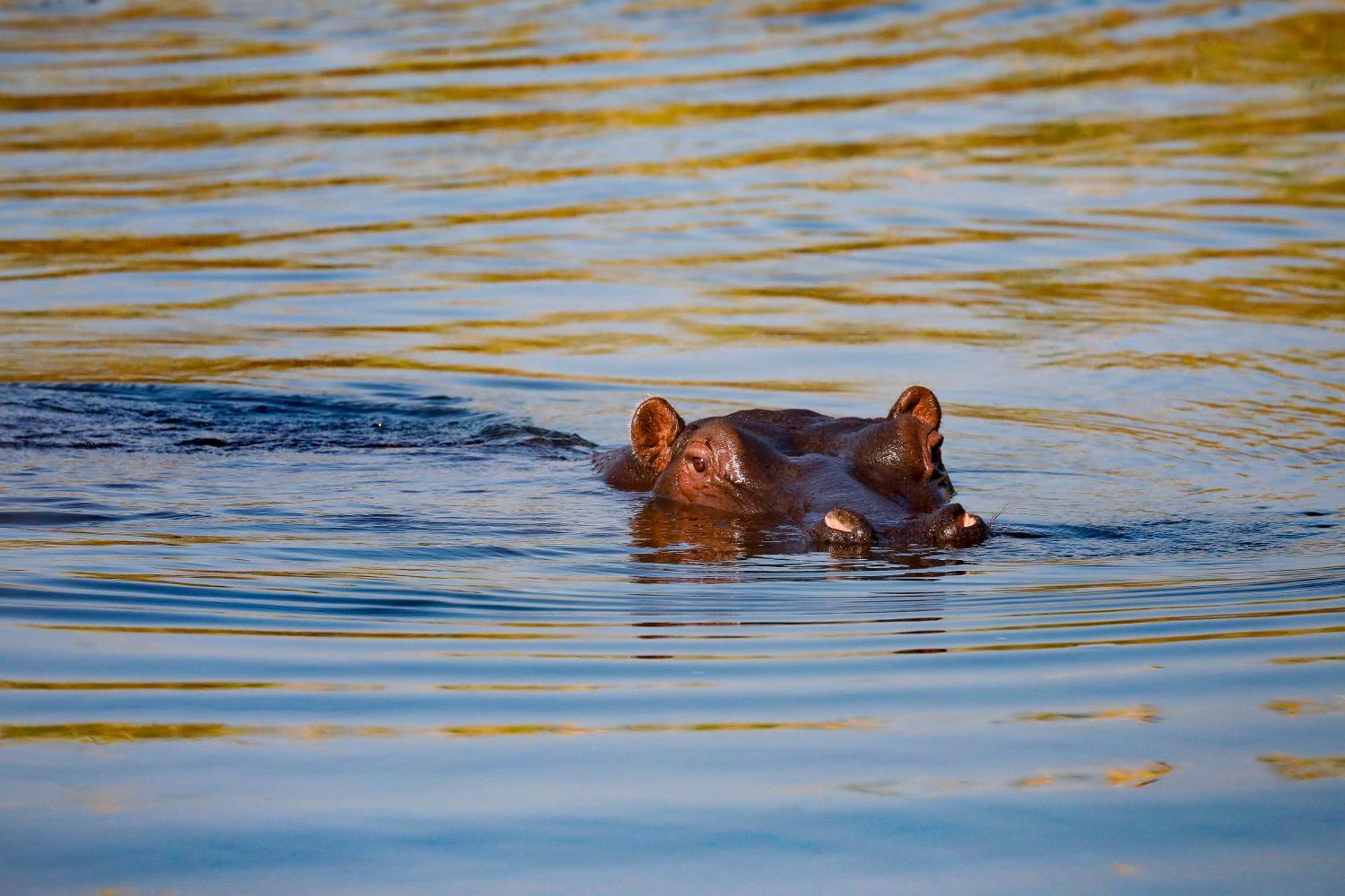 Zambezi Dusk Livingstone Exterior foto
