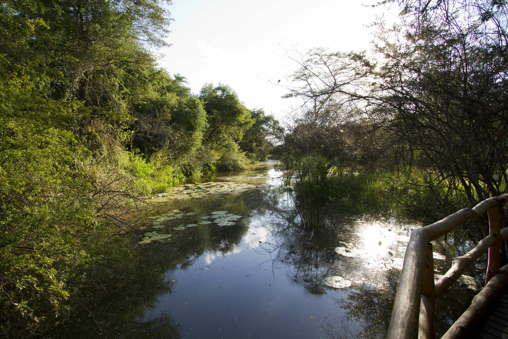 Zambezi Dusk Livingstone Exterior foto